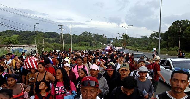 Trump's Policies Reduce the Number of Migrants in the U.S.