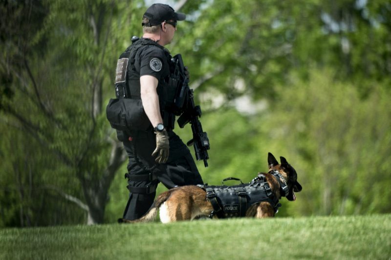 U.S. Secret Service marks 50 years of its explosive detection K9 program
