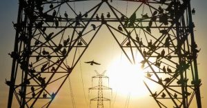 Utility Companies Face Challenges with 'Phantom' AI Data Centers