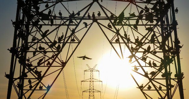 Utility Companies Face Challenges with 'Phantom' AI Data Centers
