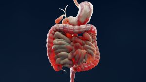 What Causes IBD to Keep Flaring? Researchers Discovered a Hint in the Gut Lining.