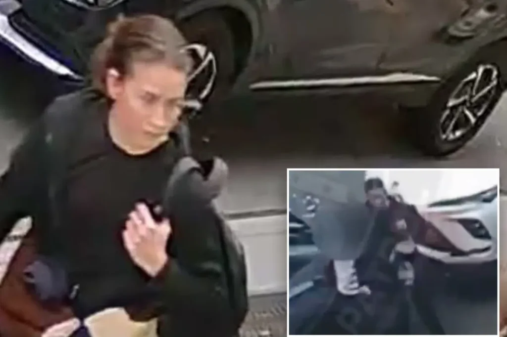 Woman arrested for stabbing rabbi with a syringe in NYC, as police disclose she assaulted another Jewish person just hours before