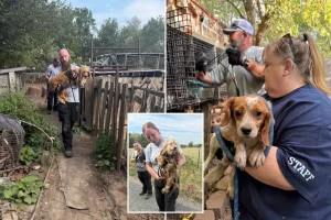 Woman recognizes her stolen dog by its bark in a Facebook video from a Missouri junkyard